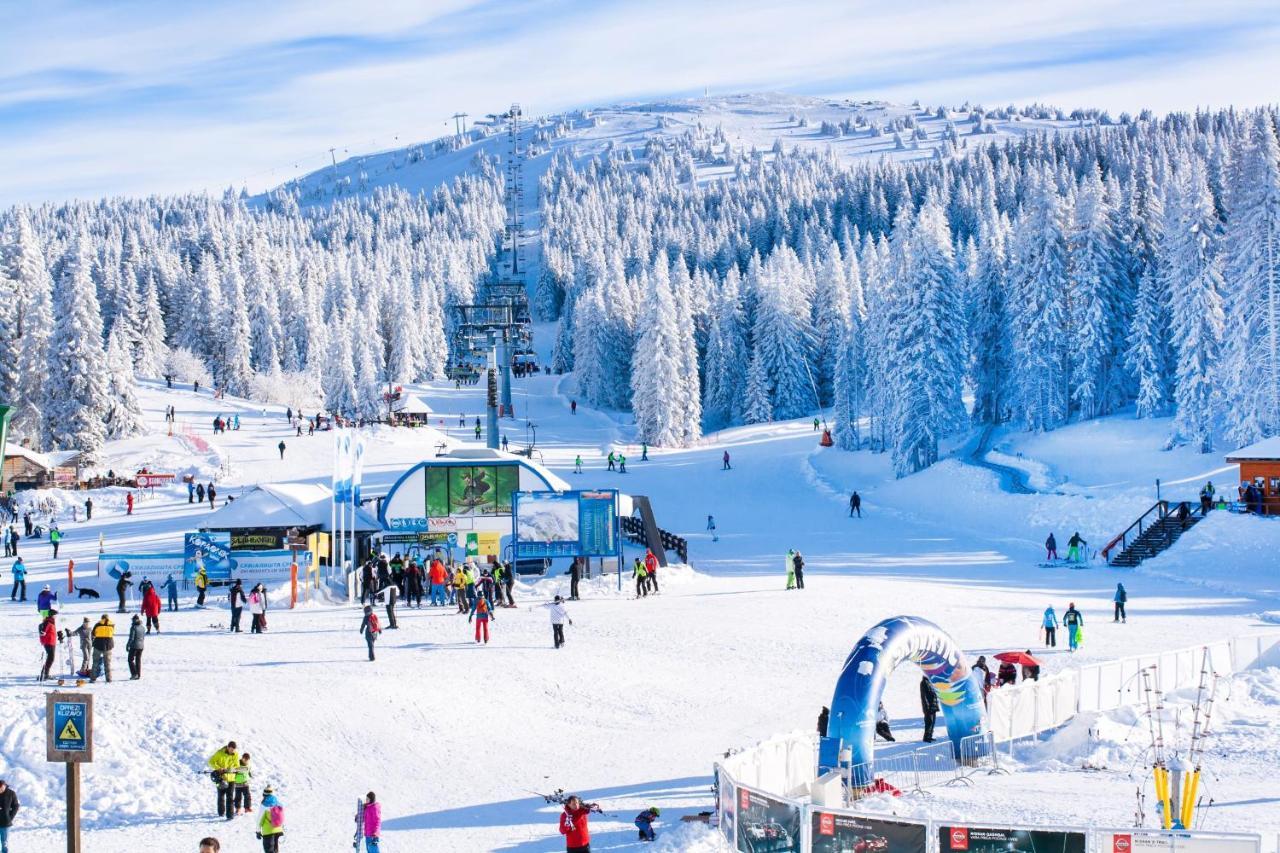 Forest View Apartments In Winterberg Sauerland Медебах Екстер'єр фото